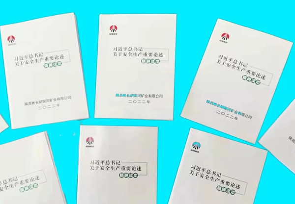 習近平總書記關于安全生產重要論述精神讀本 .jpg