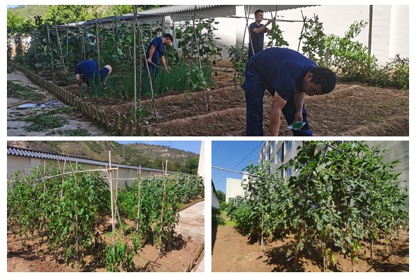 1690419756207834.jpg e518506de7d9d922927f895c763cd45_副本.jpg