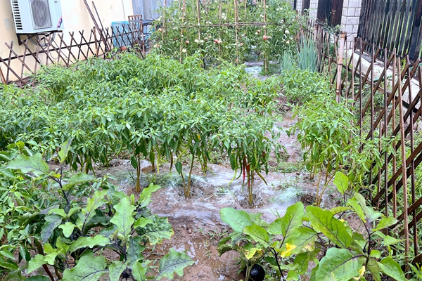 1693993521194189.jpg IMG_1930_副本.jpg