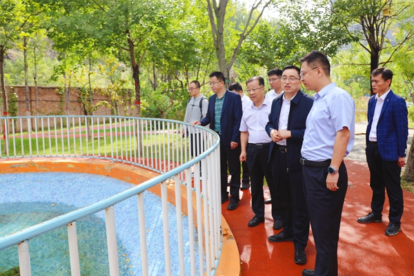 1695285631359260.jpg 0A8A0478_副本.jpg