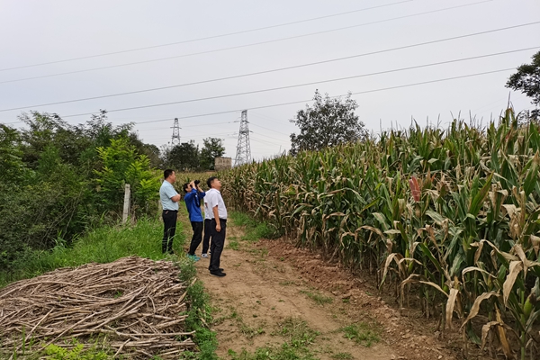 1695881964183486.jpg 安全大排查照片2_副本.jpg