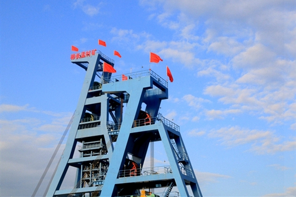 1701217537334123.jpg 3.jpg