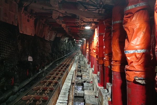 1705386038201206.jpg 圖片3_副本.jpg