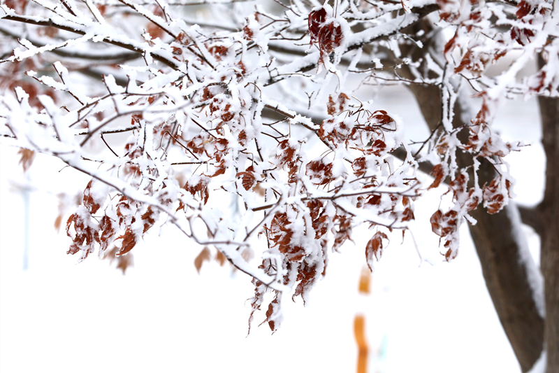 1705823584754758.jpg 2.jpg