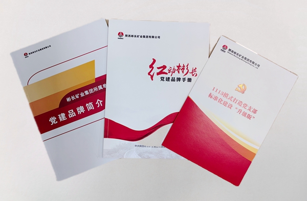 1706487879181073.jpg 1.“紅動彬長”黨建品牌.jpg