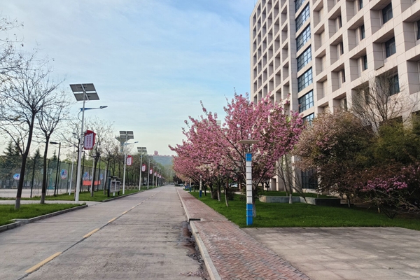 1713772831190737.jpg 配圖 (1)_副本.jpg