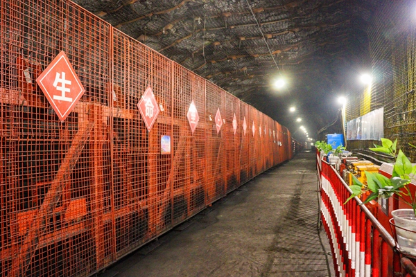 1730097484123022.jpg 1_副本.jpg