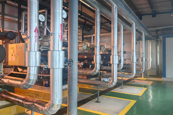 1733987061104856.jpg 1_副本.jpg