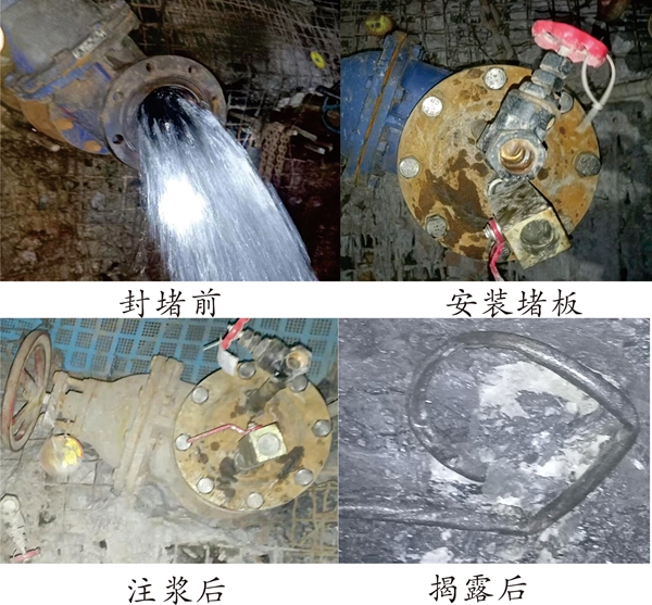 1734510008109886.jpg 圖片_副本.jpg