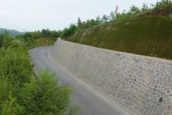 1734936324141551.jpg 圖1_副本.jpg