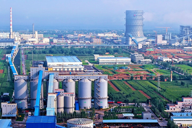 1735268737401091.jpg 00.jpg