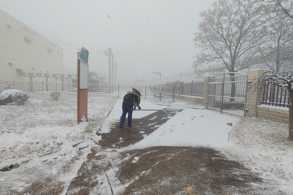 1739260045484137.jpg 清理巡視通道_副本.jpg