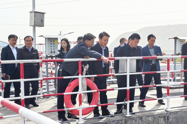 1745310364213292.jpg DSC02442_副本.jpg