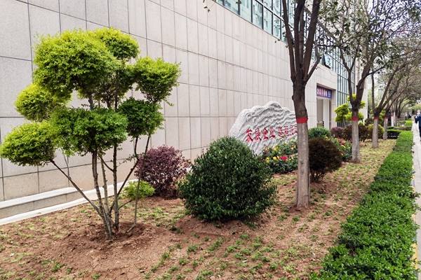 1745565742157461.jpg 2_副本.jpg