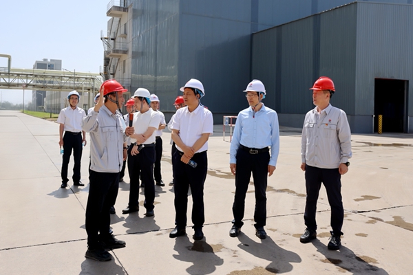 1750150733138602.jpg 3_副本.jpg