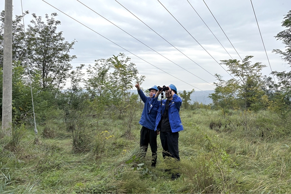 1759027425756759.jpg 3.線路專項巡查_副本.jpg