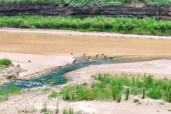 1762135632521993.jpg 圖2_副本.jpg