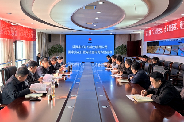 1764833534121370.jpg 電力.jpg